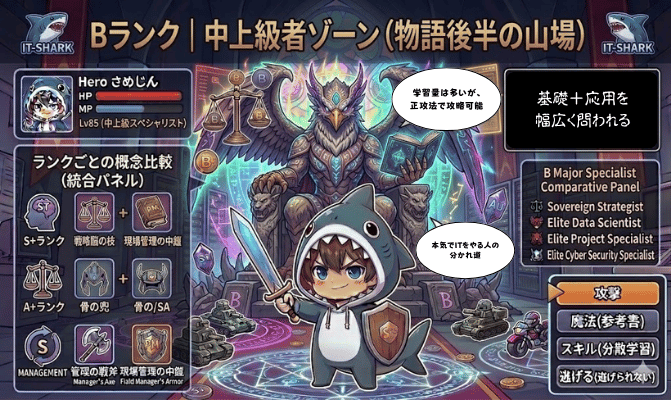 Bランク_情報処理技術者試験_イメージ画像_IT-SHARK-BLOG